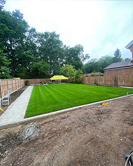 Portfolio Image